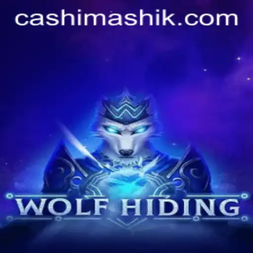 Discovering WolfHiding: A New Social Deduction Game